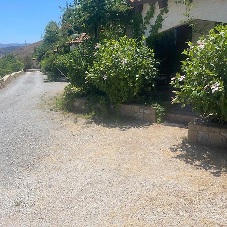 Villas Vista Del Mar Kíszamosz Kültér fotó