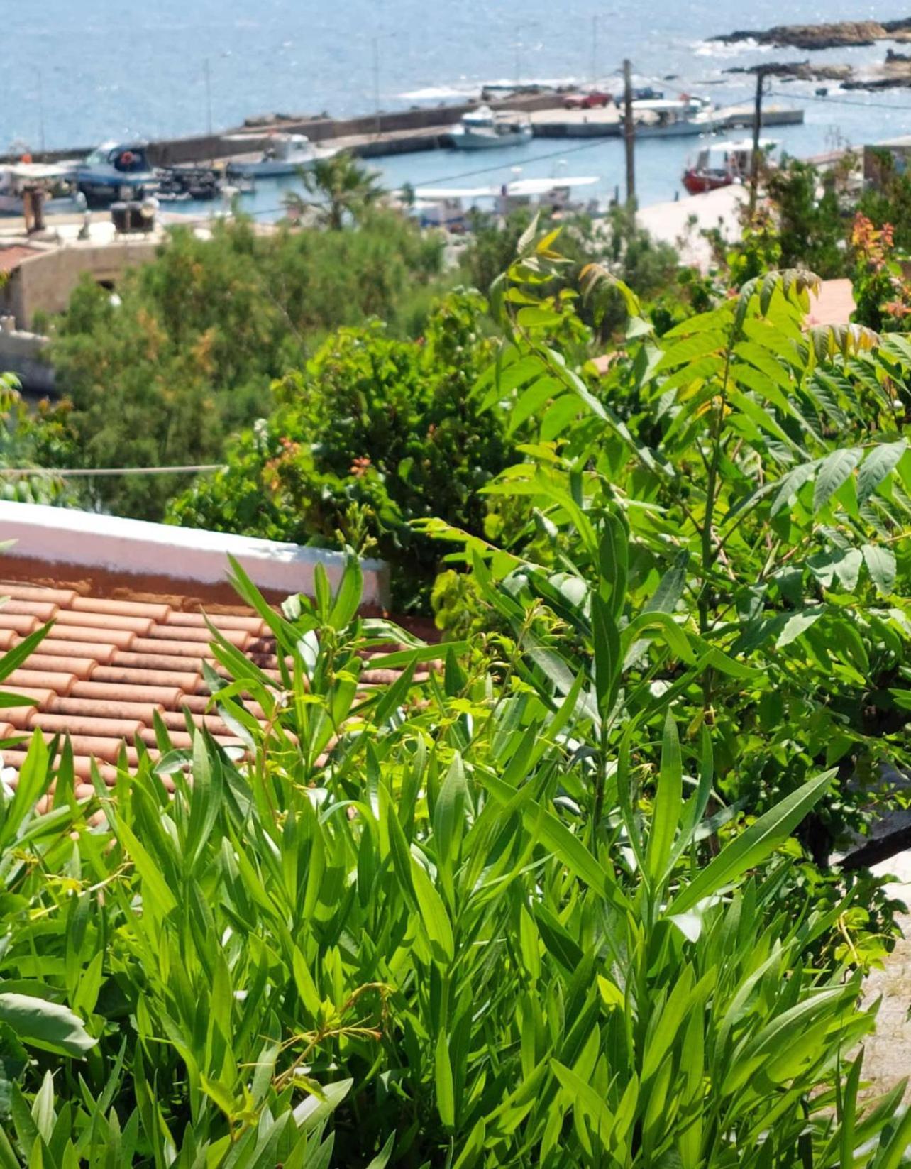 Villas Vista Del Mar Kíszamosz Kültér fotó