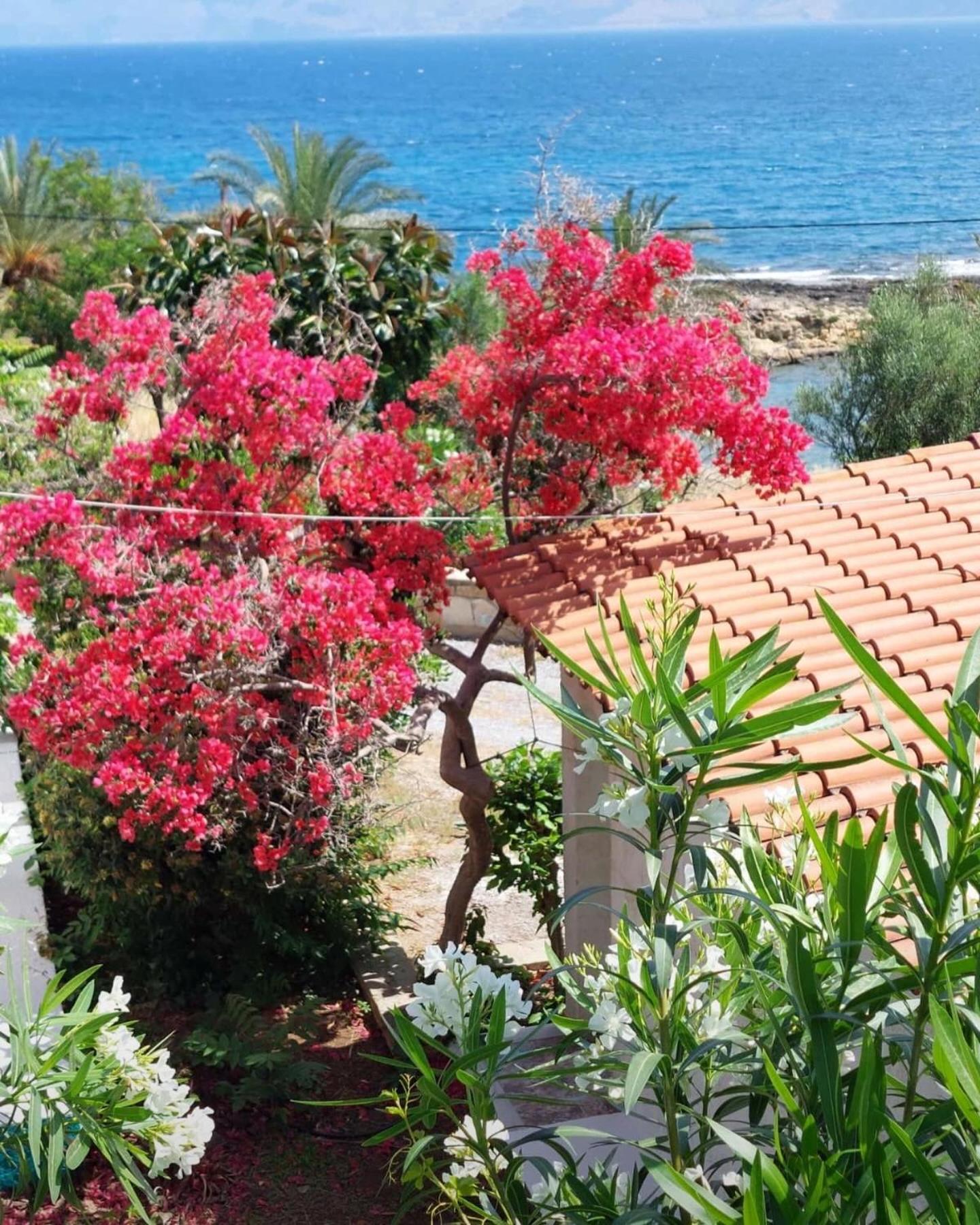 Villas Vista Del Mar Kíszamosz Kültér fotó